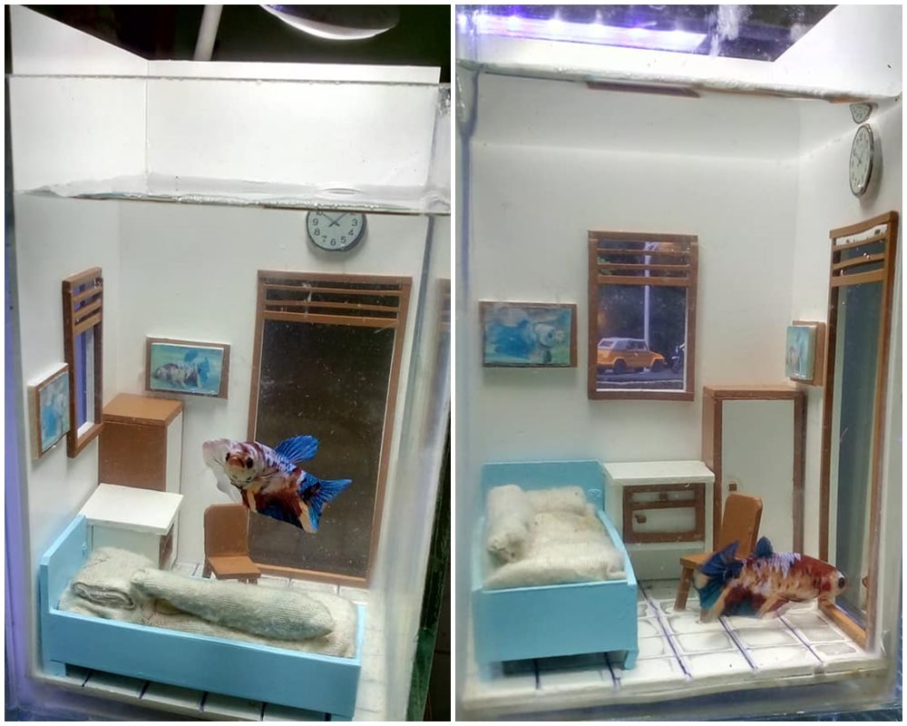 8 Potret akuarium antimainstream, ada miniatur kamar kos