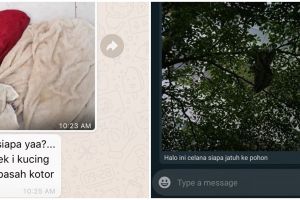10 Chat lucu pemberitahuan dari ibu kos ini bikin senyum tipis