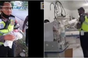 Kisah polisi ingin adopsi bayi hampir tewas saat dibuang, bikin haru