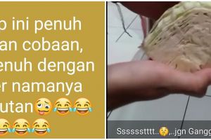 10 Status lucu emak-emak di WhatsApp ini bikin mikir keras