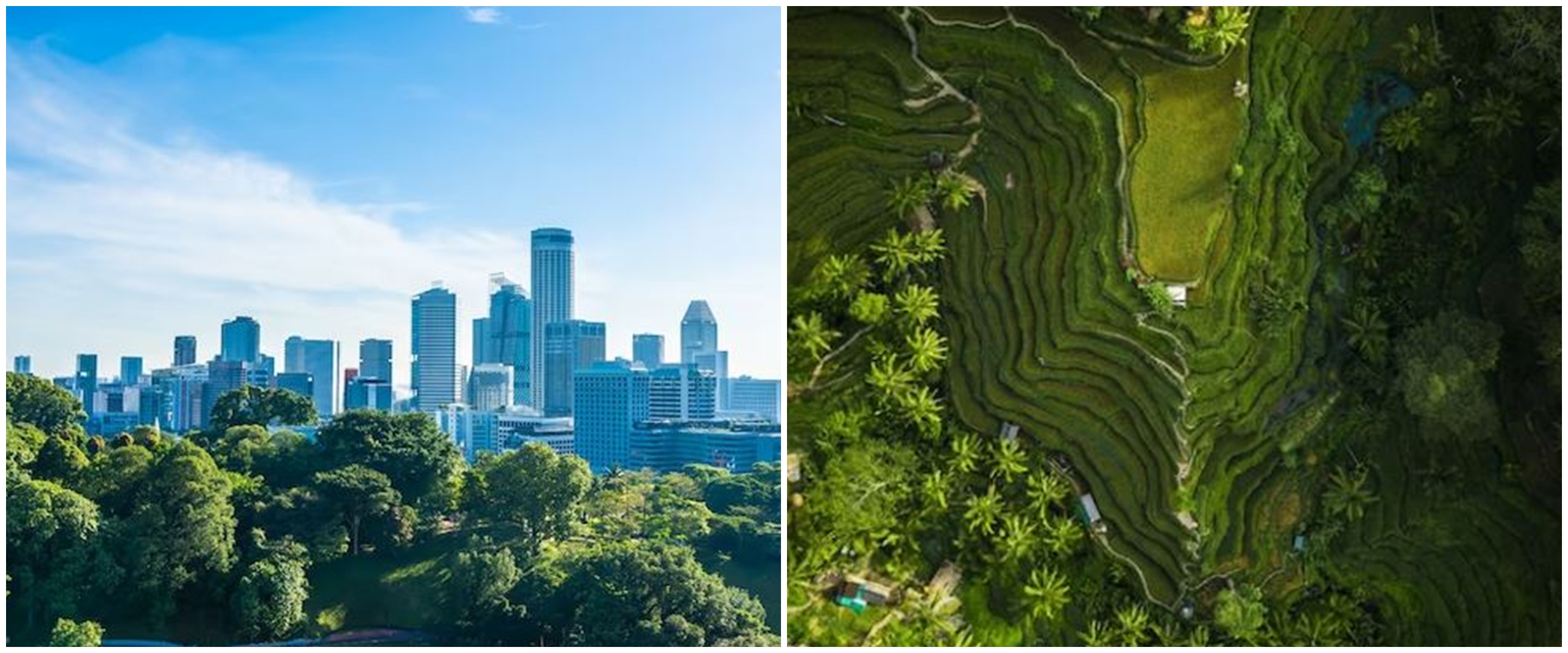 200 Kata-kata caption tentang keindahan alam, maknanya keren bikin makin peduli menjaga lingkungan