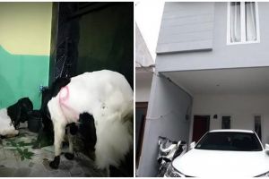 10 Potret beda rumah lama vs kini milik Mpok Alpa, bukti kerja keras