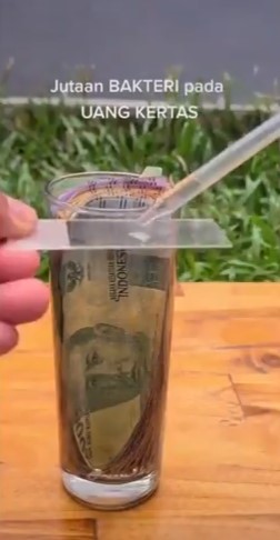 Viral video cek bakteri uang kertas lewat rendaman air, ngeri