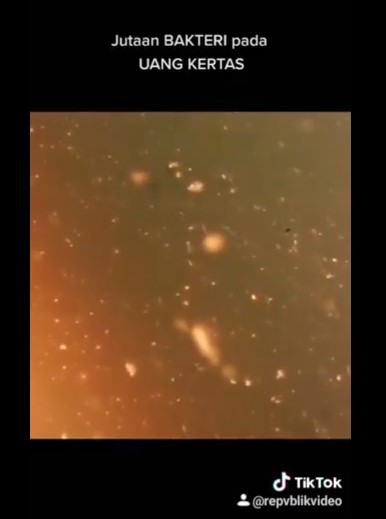 Viral video cek bakteri uang kertas lewat rendaman air, ngeri