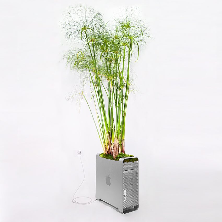 10 Potret pot tanaman dari barang bekas elektronik ini kreatif abis