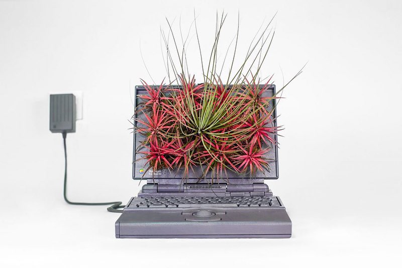 10 Potret pot tanaman dari barang bekas elektronik ini kreatif abis