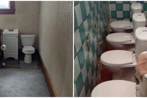 10 Penampakan toilet absurd, bikin mikir dua kali pas mau pakai