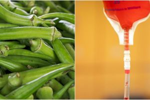 13 Manfaat okra bagi kesehatan, antikanker hingga mencegah anemia