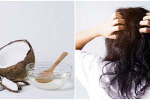 10 Manfaat minyak kelapa untuk rambut dan cara pakainya