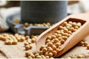 10 Manfaat kedelai untuk kesehatan, mengatasi gejala menopause