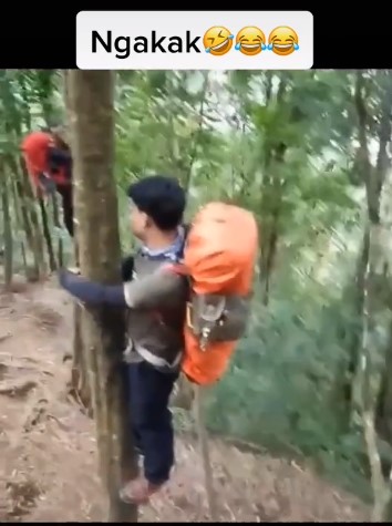 Viral video pendaki naik pohon karena ada babi hutan, bikin deg-degan