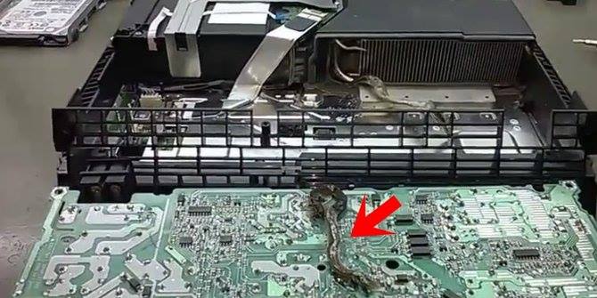 10 Potret persembunyian ular di tempat tak terduga, bikin waspada