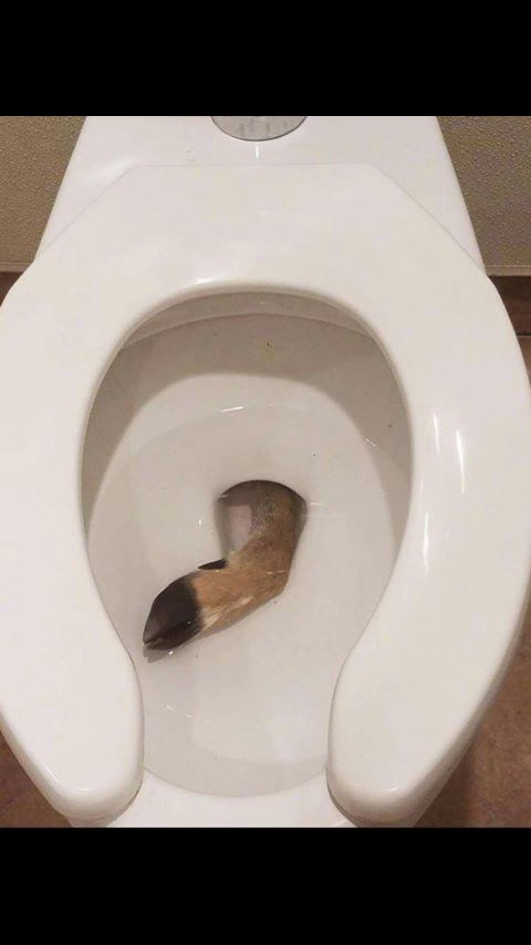 11 Penemuan aneh di toilet ini bikin kamu nggak jadi kebelet