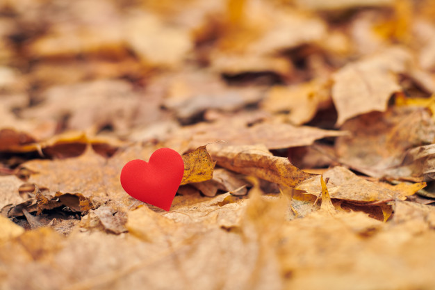 40 Kata Kata Bijak Cinta Bertepuk Sebelah Tangan Bikin Hati Tega