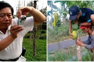 10 Foto orang motret vs objek yang difoto ini bikin nyengir