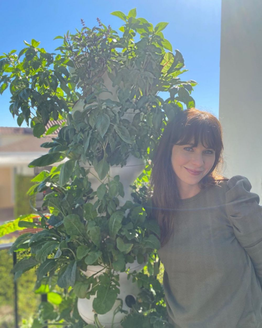 Jadi tren saat pandemi, ini potret 9 seleb Hollywood saat berkebun