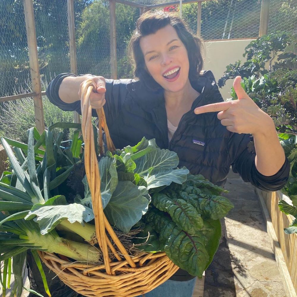 Jadi tren saat pandemi, ini potret 9 seleb Hollywood saat berkebun