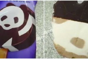 20 Penampakan es krim nyeleneh ini bikin kesal sebelum makan