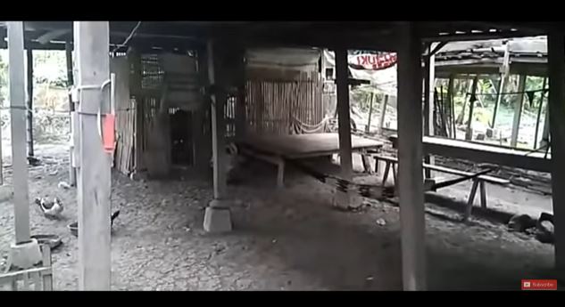 Sukses jadi artis, ini 10 potret rumah Selfi LIDA dulu vs kini