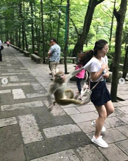 10 Potret orang foto bareng hewan berakhir apes, bikin tepuk jidat