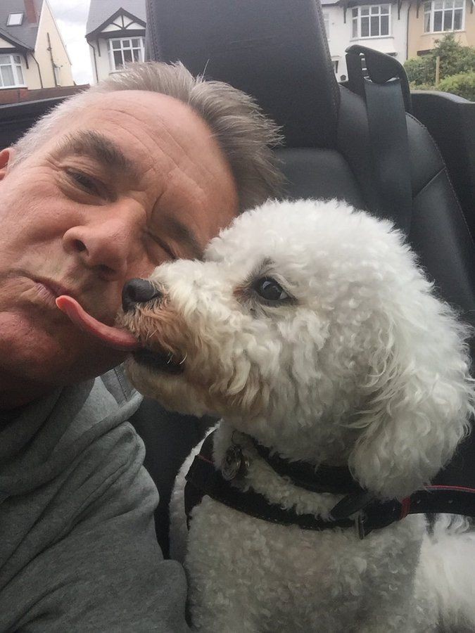 10 Potret orang foto bareng hewan berakhir apes, bikin tepuk jidat