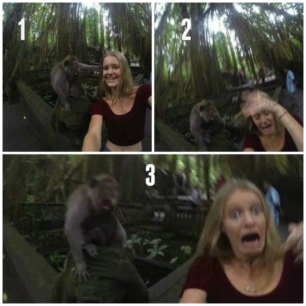 10 Potret orang foto bareng hewan berakhir apes, bikin tepuk jidat