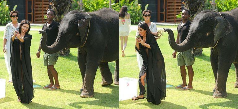 10 Potret orang foto bareng hewan berakhir apes, bikin tepuk jidat