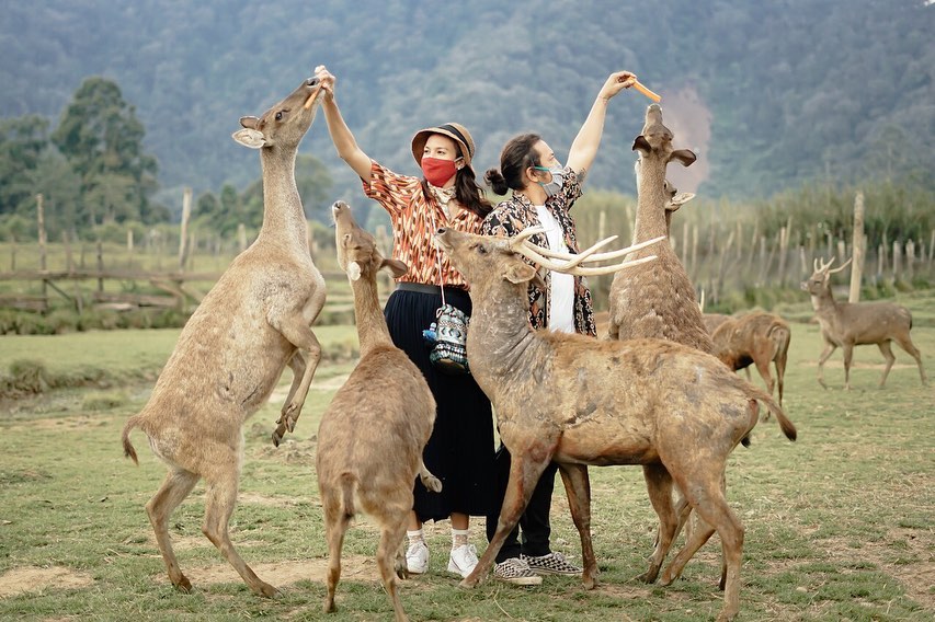 10 Potret liburan Nadine Chandrawinata & suami, membaur dengan alam