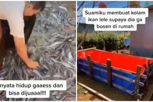 Iseng usir bosan selama pandemi, pria ini malah sukses ternak lele