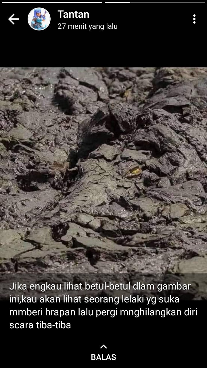 10 Status galau di WhatsApp ini bikin yang baca senyum ngenes