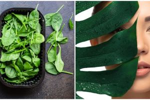 25 Manfaat bayam hijau untuk kesehatan dan kecantikan, tingkatkan imun