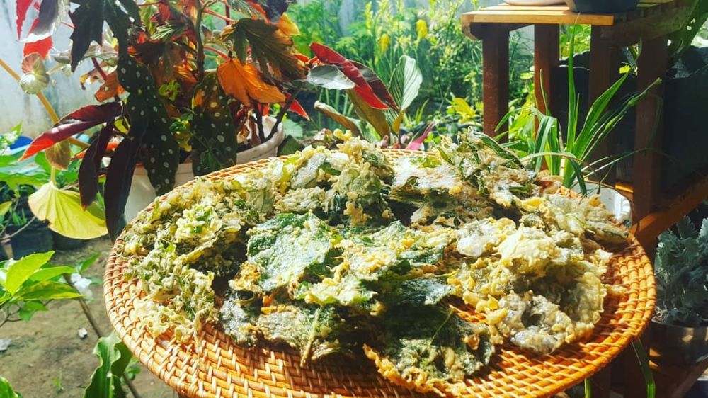 camilan daun pepaya instagram camilan daun pepaya instagram