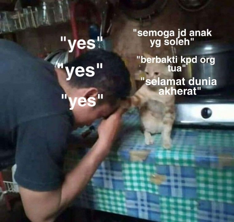 10 Meme lucu kalau hewan peliharaan dan majikan tukar peran
