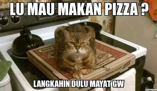 10 Meme lucu kalau hewan peliharaan dan majikan tukar peran