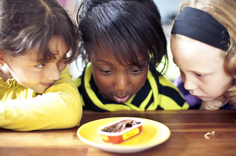 10 Khasiat ikan teri, si kecil kaya manfaat yang jarang diketahui