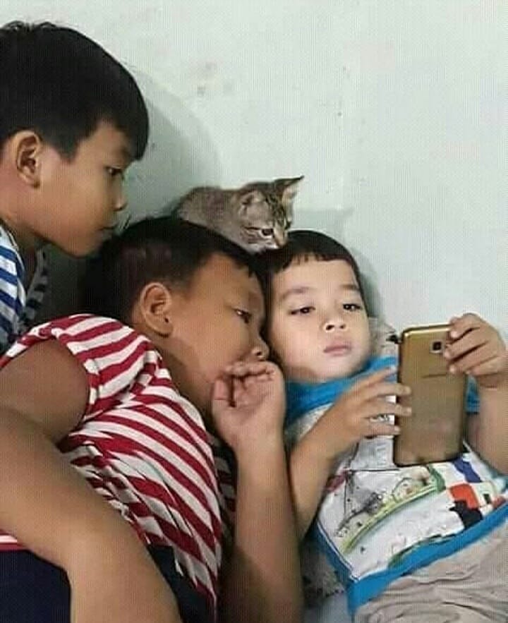 10 Momen sok asik kucing ikutan nongkrong bikin senyum geli