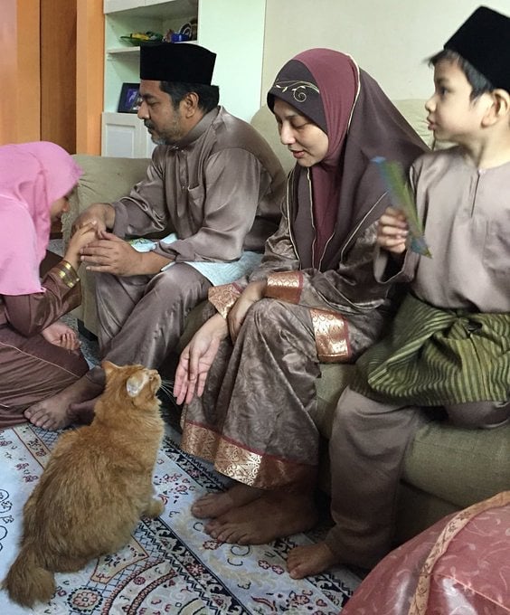 10 Momen sok asik kucing ikutan nongkrong bikin senyum geli