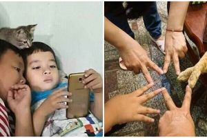 10 Momen sok asik kucing ikutan nongkrong bikin senyum geli