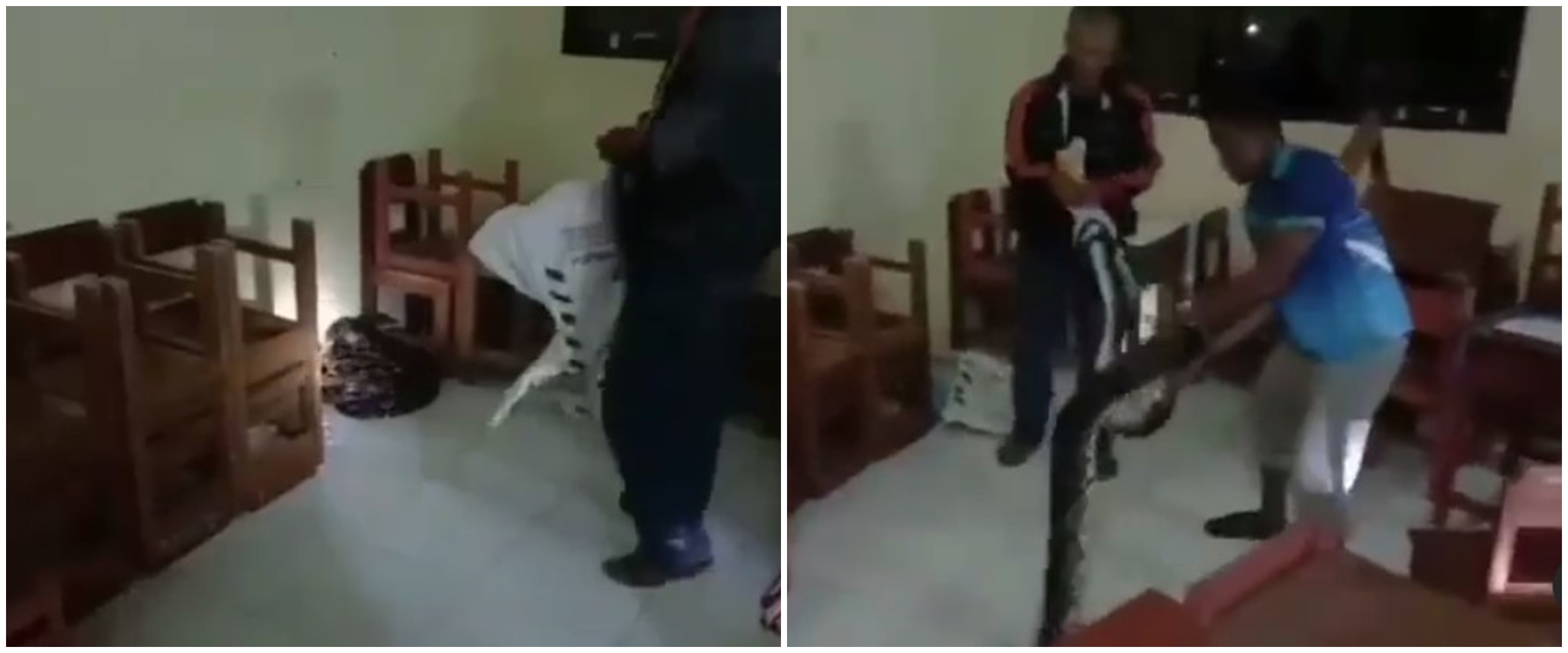 Tak digunakan selama pandemi, ruangan kelas jadi habitat ular piton