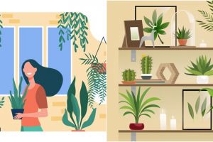 10 Manfaat tanaman hias indoor untuk kesehatan, bisa menaikkan imun