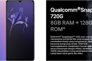 Harga Vivo V20 lengkap dengan spesifikasi, kelebihan dan kekurangannya