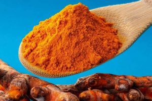 Tak cuma penambah nafsu makan, temulawak bisa perbaiki fungsi hati