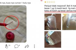 10 Komplain gara-gara barang yang dibeli nggak sesuai ini kocak