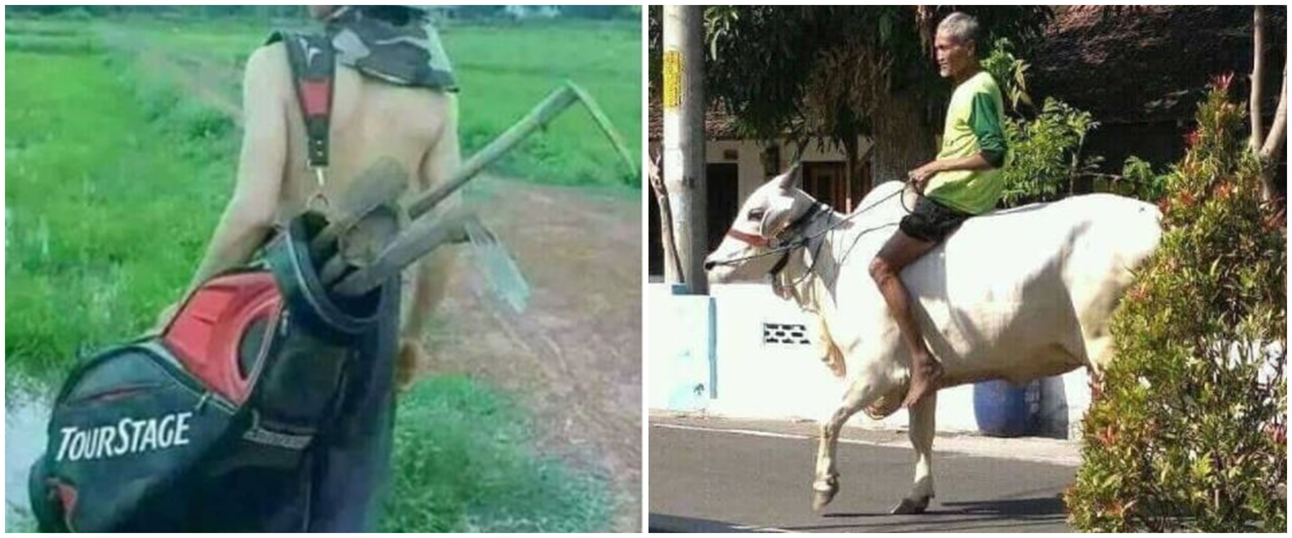 20 Momen lucu orang pergi ke sawah ini aksinya bikin senyum lebar