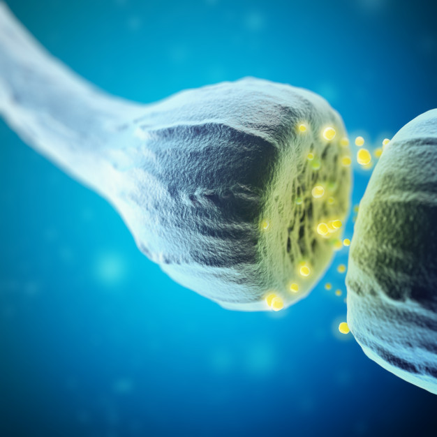 10 Manfaat daun bawang untuk kesehatan, kaya antioksidan