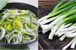 10 Manfaat daun bawang untuk kesehatan, kaya antioksidan