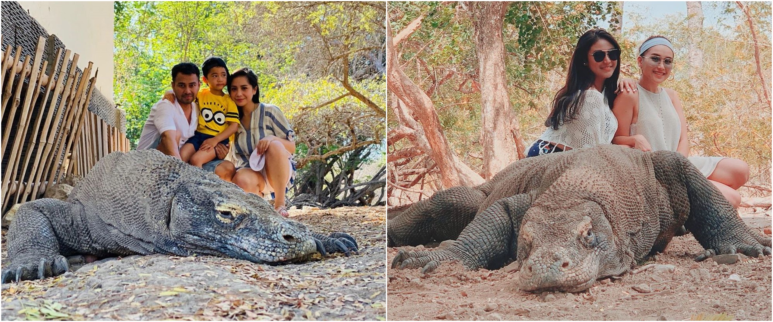 Gaya 10 seleb pose bareng komodo saat liburan, berani banget