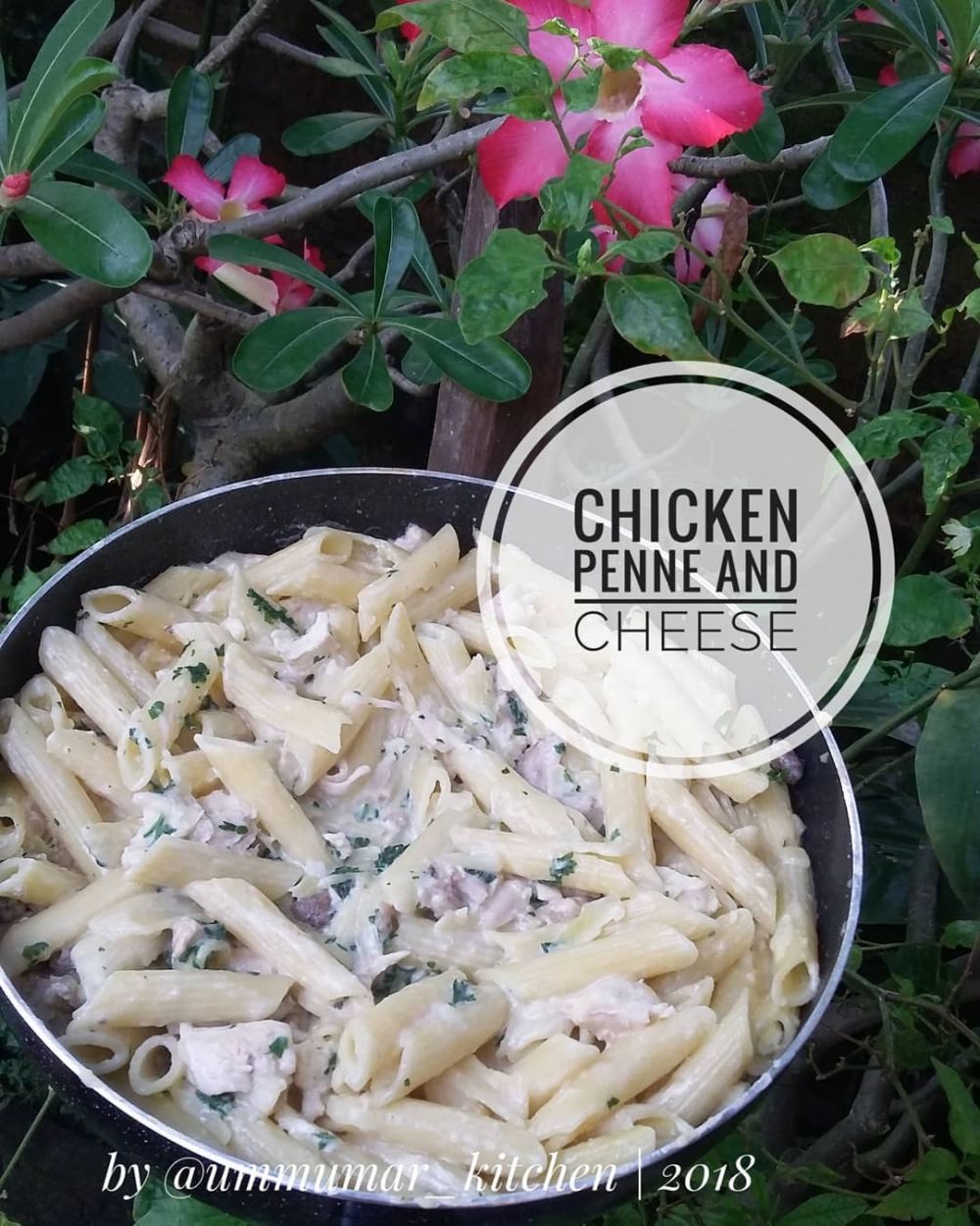 10 Resep kreasi pasta penne, lezat, bikin nagih dan cepat dibuat