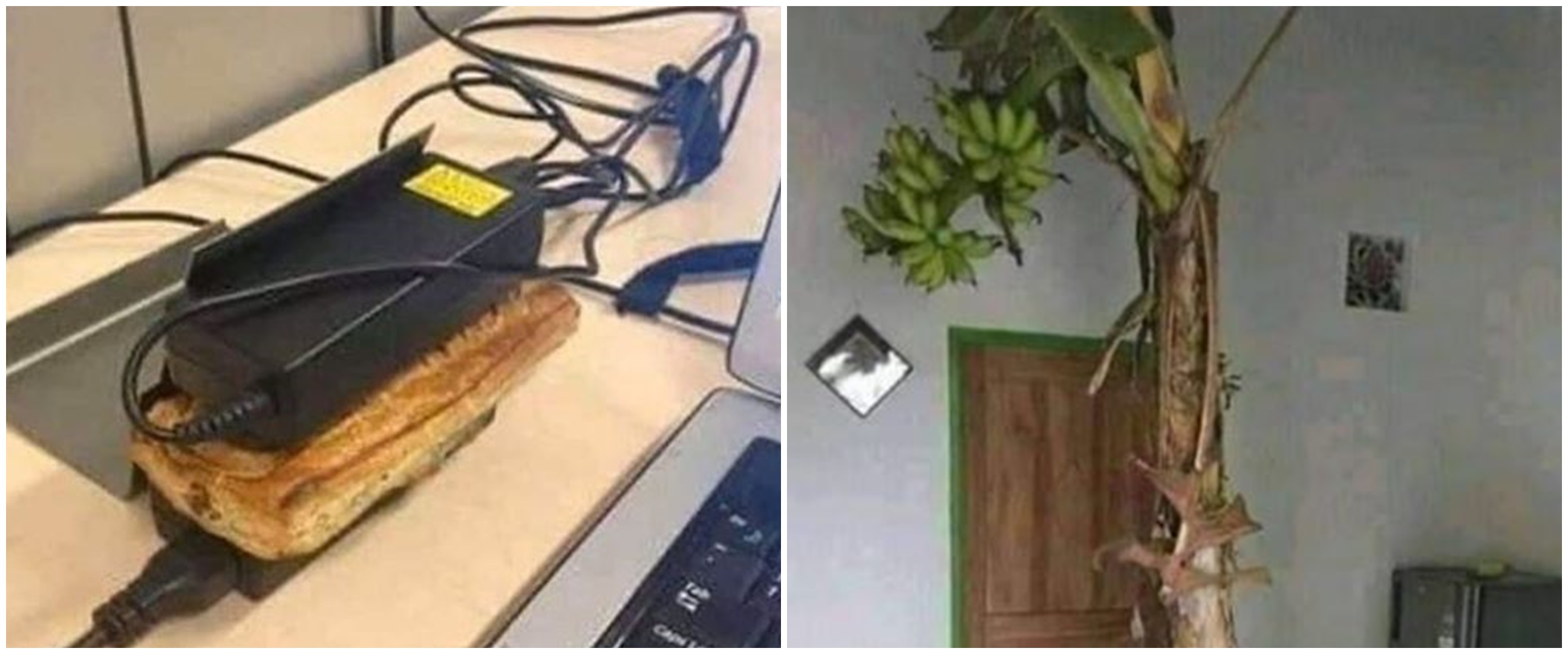 10 Potret lucu akibat kelamaan WFH, kreatifnya bikin tepuk jidat