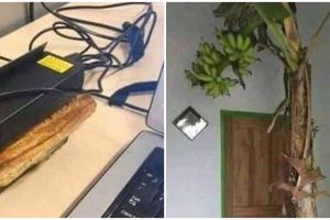 10 Potret lucu akibat kelamaan WFH, kreatifnya bikin tepuk jidat